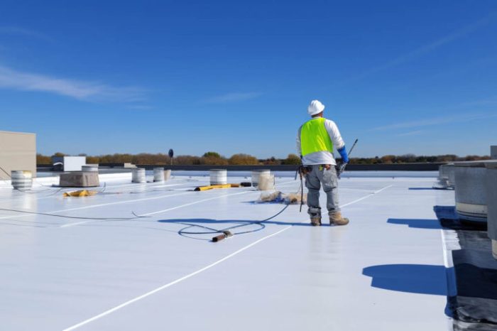 The Evolution and Excellence of Flat Roof Coating Solutions