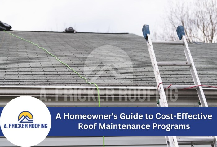 The Benefits Of A Maintenance Plan For Your Roof - Riviera Roofing