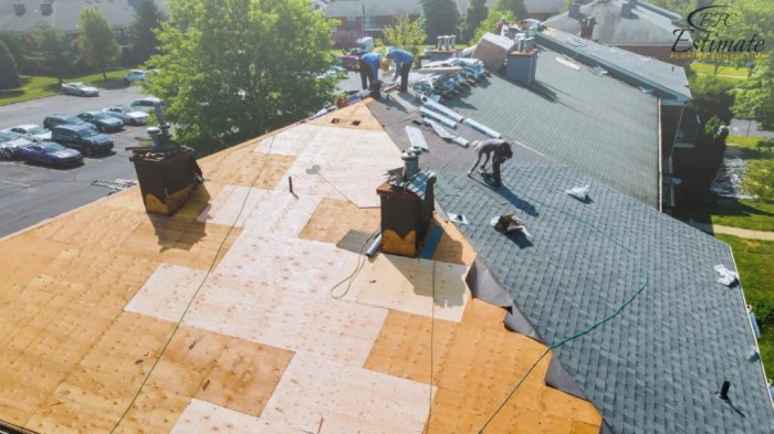 Roofing flachdach epdm infiltrazioni dachdecker dal paga condominio tetto affect puddles rooftop felt cost ponding lastrico cooling tpo propylene ethylene