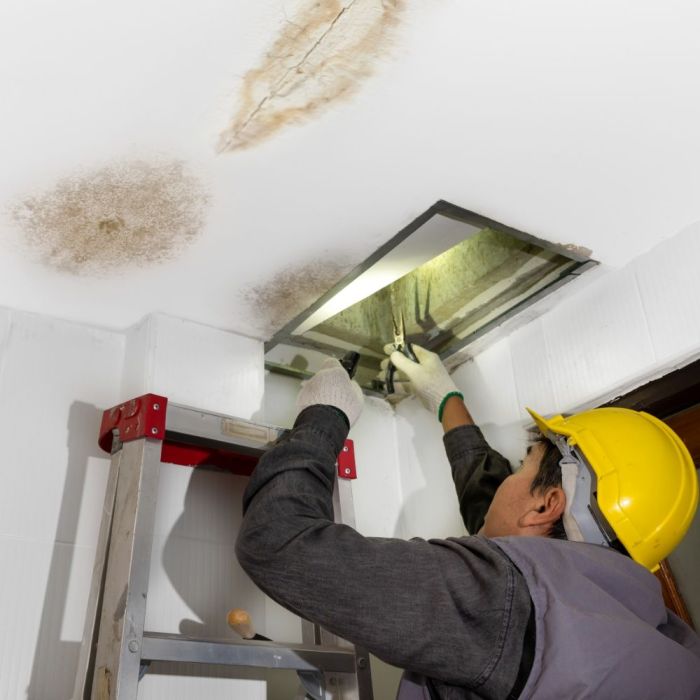 Emergency Roof Leak Repair: Immediate Solutions for Water Damage ...