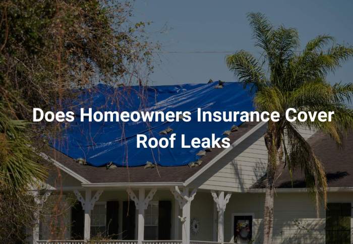 Dealing with a Roof Leak: Understanding Your Insurance Coverage