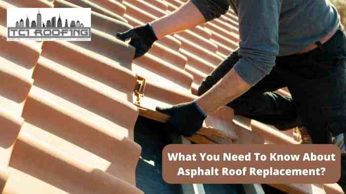 Get Expert Asphalt Roof Repair by Professionals in Texas