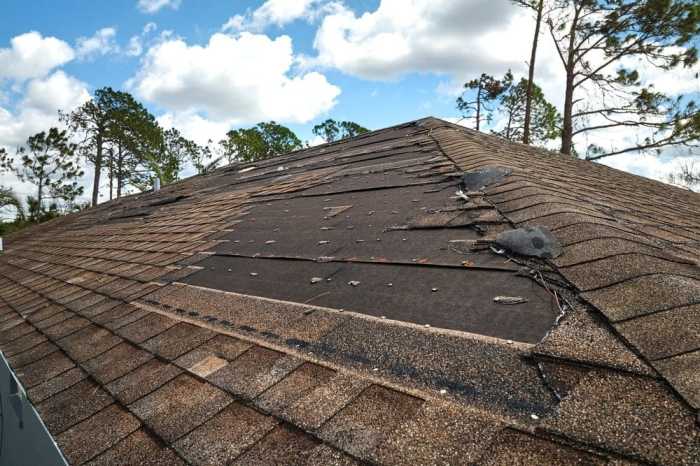 Roof Repair for Storm Damage: Essential Steps to Recovery