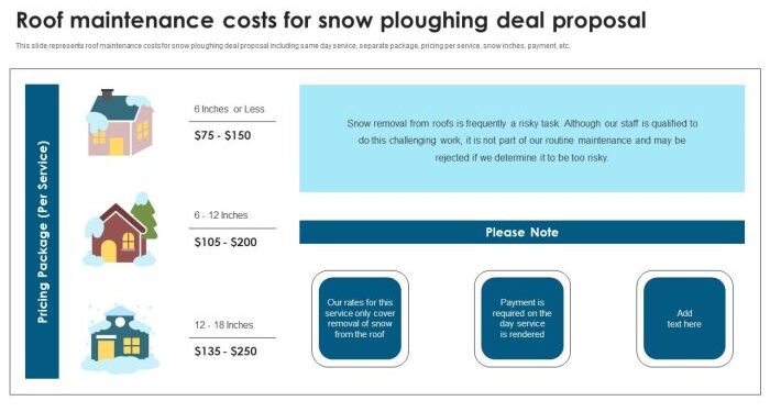 Roof Maintenance Costs For Snow Ploughing Deal Proposal Ppt Ideas Design In