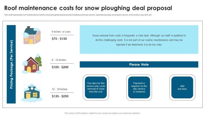 Roof Maintenance Costs For Snow Ploughing Deal Proposal Ppt Ideas Design In