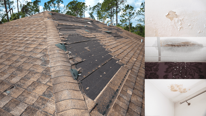 Roof Waterproofing: Before Starting Guide