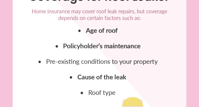 Is my Leaking Roof Covered by Insurance