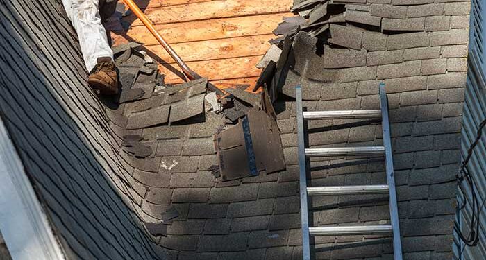 Five Reasons Not Wait to Repair Roof Damage | Shield Roofing