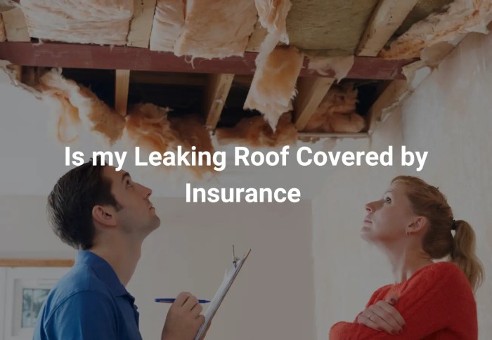 Home Insurance Roof Leak Coverage Explained