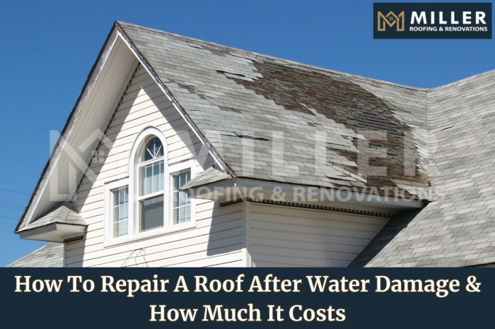 Must-Know Tips for Repairing Water Damage from a Roof Leak